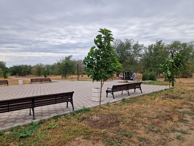photo 2025 09 14 13 32 13